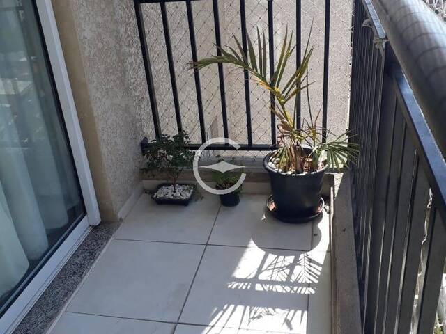 Apartamento para Venda em São Paulo - 3