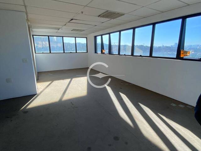#62035088 - Conjunto Comercial para Locação em São Paulo - SP - 2